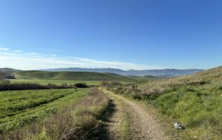 pomarico_1574_size1024