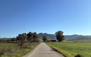 pomarico_1577_size1024