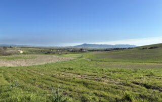 pomarico_1581_size1024